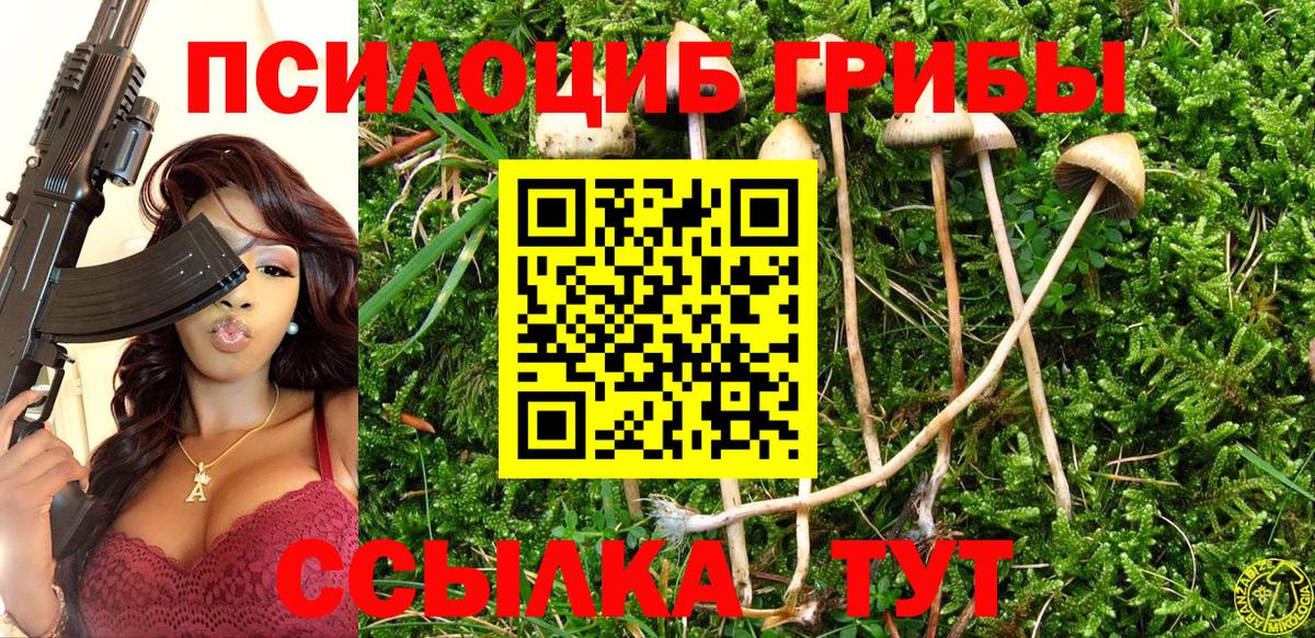 Псилоцибиновые грибы MAGIC MUSHROOMS Похвистнево