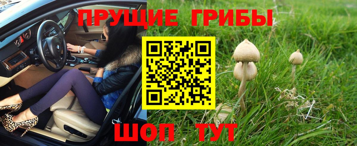 Похвистнево  Галлюциногенные грибы Cubensis  Вход с VPN  Галлюциногенные грибы Cubensis 